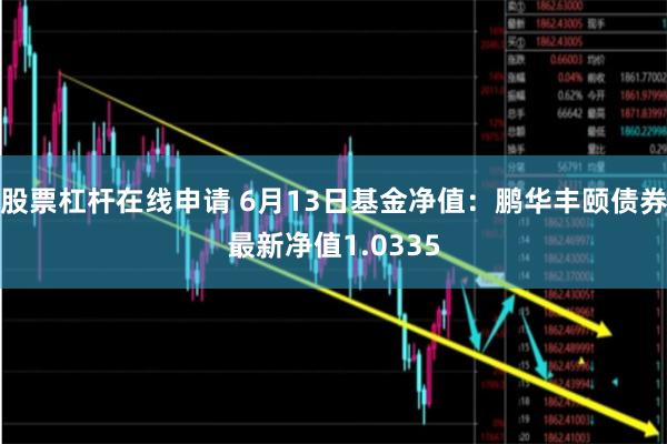 股票杠杆在线申请 6月13日基金净值：鹏华丰颐债券最新净值1.0335